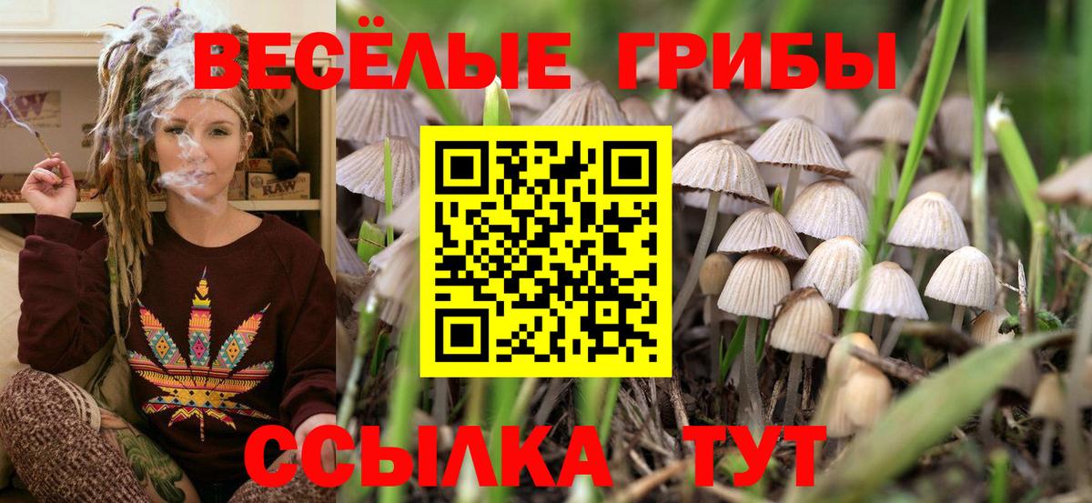Сургут  где купить   Галлюциногенные грибы MAGIC MUSHROOMS  Вход с VPN  Галлюциногенные грибы мицелий 
